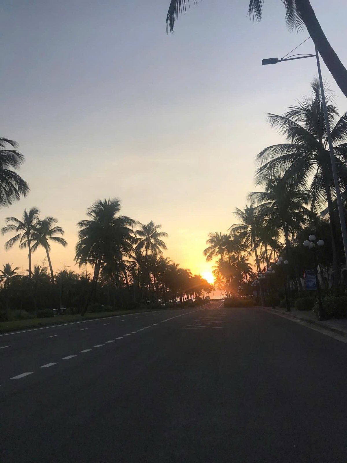 Con đường hàng dừa lúc hoàng hôn